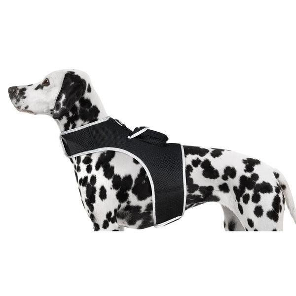 Smart Activity Tracker with Real-Time GPS & Motion Detection - Lightweight XS Pet Harness for Dogs & Cats