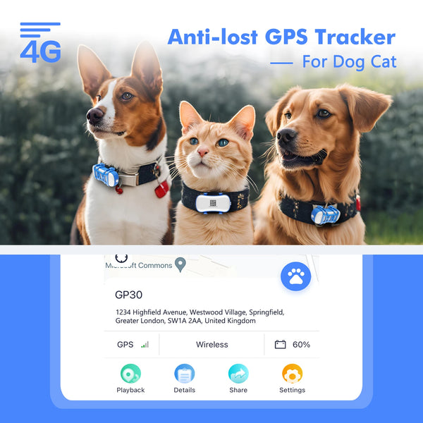 4G GPS Pet Tracker for Dogs & Cats – Waterproof, Live Tracking, App
