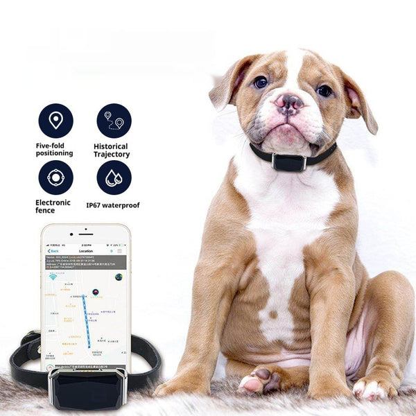 Findroo Pet Tracker – Smart GPS Locator for Dogs & Cats